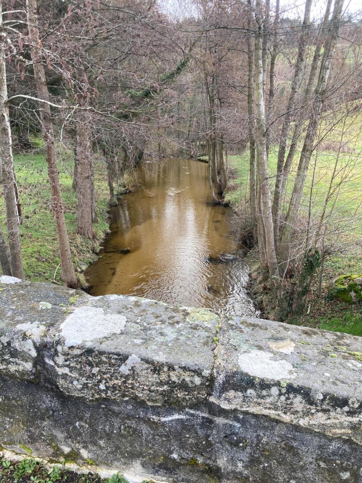 Jolie Maison De Campagne, Compostelle Villa Soleymieux Exterior foto