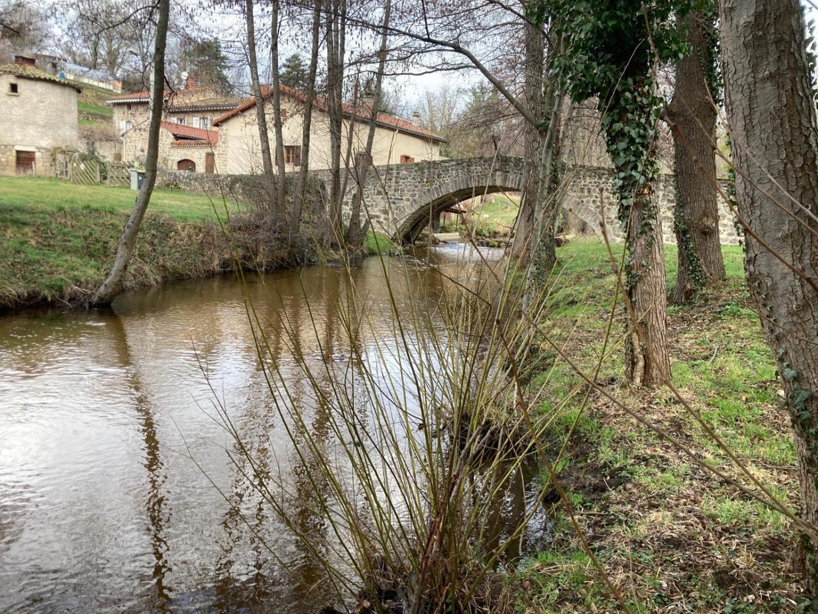 Jolie Maison De Campagne, Compostelle Villa Soleymieux Exterior foto