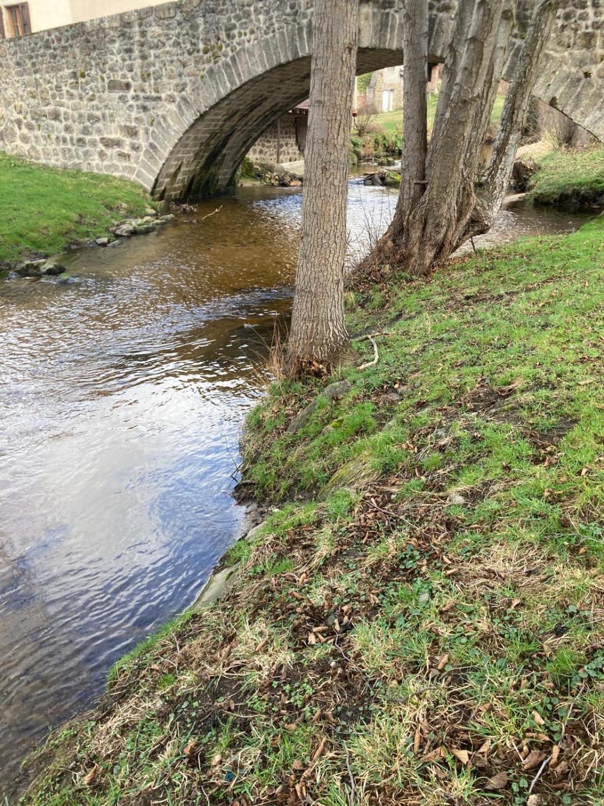 Jolie Maison De Campagne, Compostelle Villa Soleymieux Exterior foto